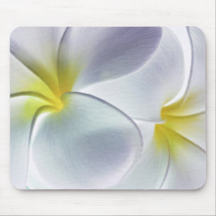 Tapis De Souris Blanc customisé par fleur d'Hawaï de Frangipani de