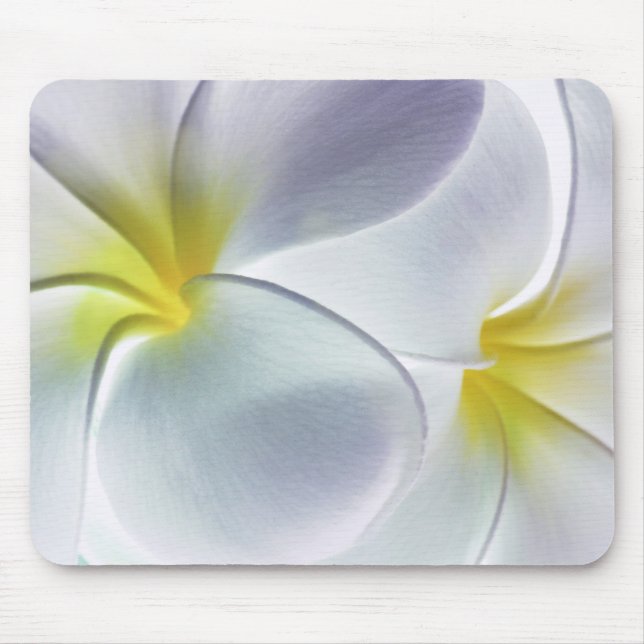 Tapis De Souris Blanc customisé par fleur d'Hawaï de Frangipani de (Devant)