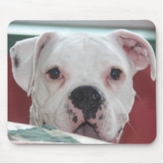 Tapis de souris blanc de photo de chien de boxeur