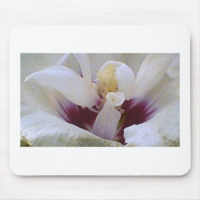 Tapis De Souris Blanc sur la fleur de rose blanche (Devant)