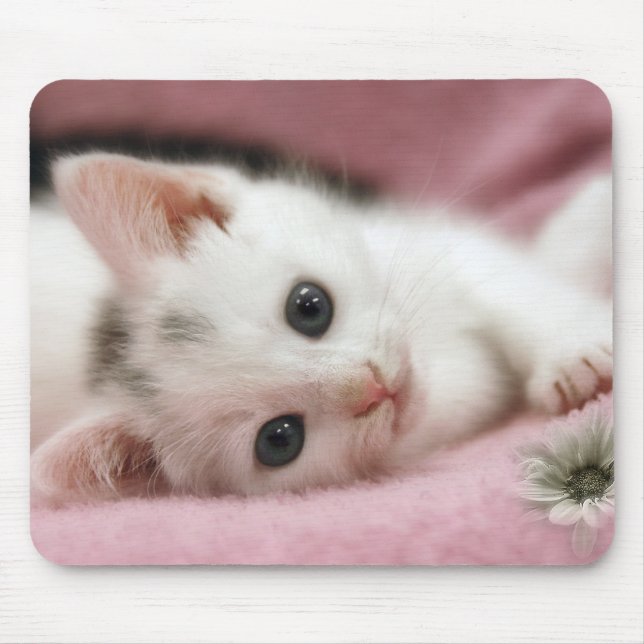 Tapis De Souris Blanche-Neige (Devant)