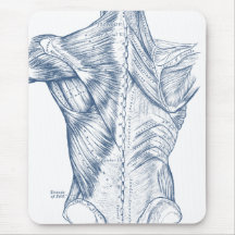 Bleu Médicale vintage de muscles du dos de dessin