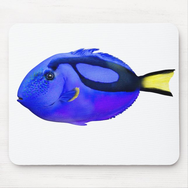 Tapis De Souris Bleu Tang Poisson salé (Devant)