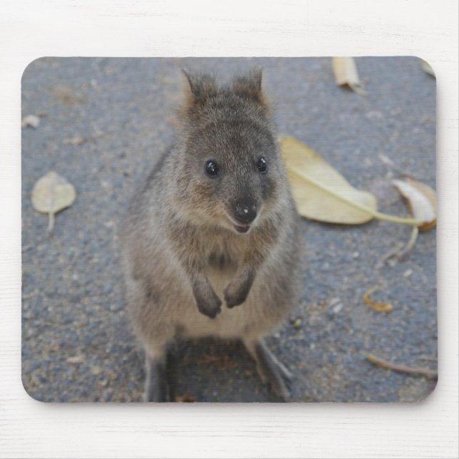 Tapis De Souris Bloc souris Quokka (Devant)