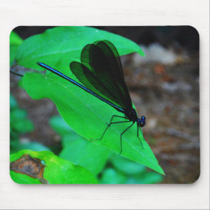 Tapis De Souris Blue Damselfly on a green leaf.