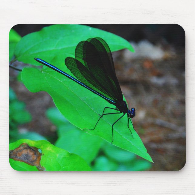 Tapis De Souris Blue Damselfly on a green leaf. (Devant)
