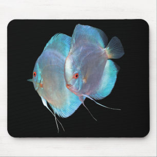 Tapis De Souris Blue Diamond Discus fish, No.01