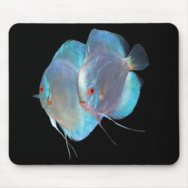 Tapis De Souris Blue Diamond Discus fish, No.01 (Devant)