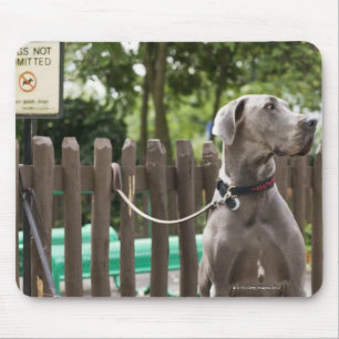 Tapis De Souris Blue Great Dane et chiens carlins en laisse