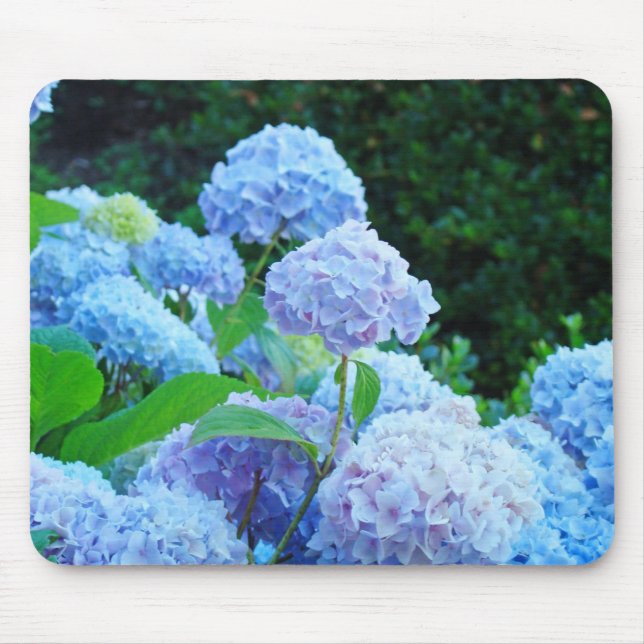 Tapis De Souris Blue Hydrangea Gardens mousepad Floral Fleurs (Devant)