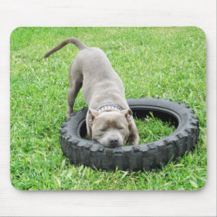 Tapis De Souris Blue Young Stafford Bull Terrier