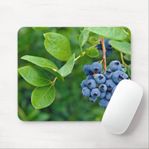 Tapis De Souris Blueberries Sur Bush
