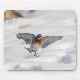 Tapis De Souris Bluebird oriental dansant dans la neige