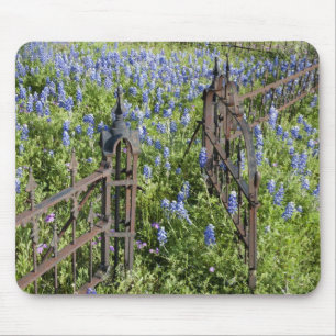 Tapis De Souris Bluebonnets et phlox porte du cimetière environnan