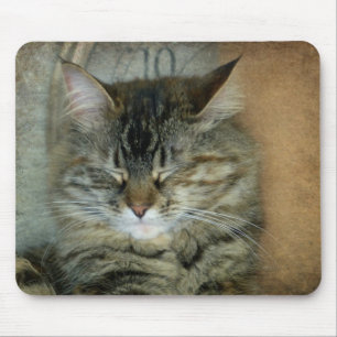 Tapis De Souris Bob le chat