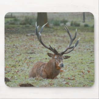 Tapis De Souris Boeuf de cerf Mousepad