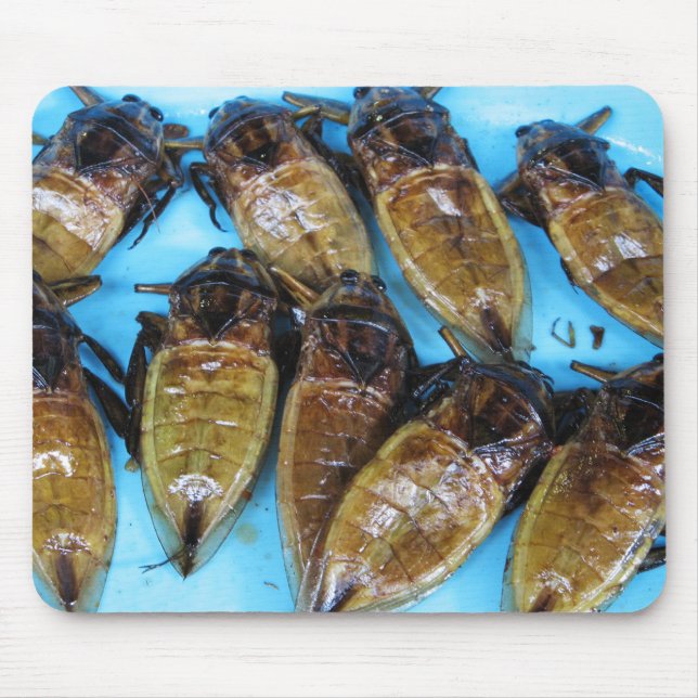 Tapis De Souris Bogue d'eau géante frite (Maeng Daa) ... Alimentat (Devant)