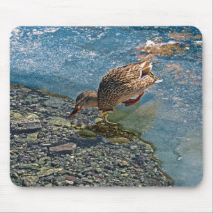 Tapis De Souris Boire Femme Mallard Duck Birdlover Faune