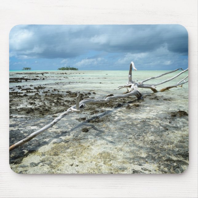 Tapis De Souris Bois mort dans le mousepad Pacifique (Devant)