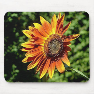 Tapis De Souris "Bonheur dans l'orange "