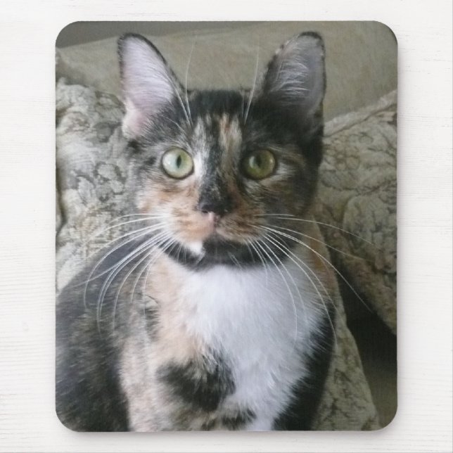 Tapis De Souris Bonjour Kitty ! Le calicot éclairera votre jour ! (Devant)