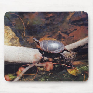 Tapis De Souris Bonne tortue