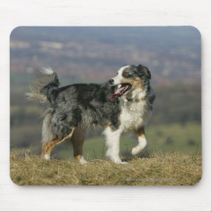 Tapis De Souris Border collie haletant 2