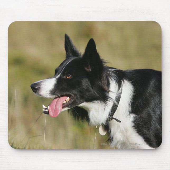 Tapis De Souris Border collie haletant le Headshot 2 (Devant)