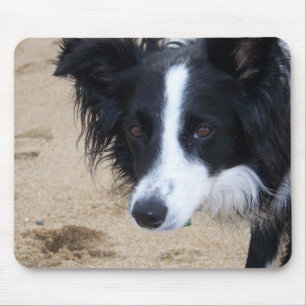 Tapis De Souris Border Collie Mouse Pad