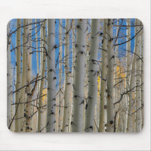 Tapis De Souris Bosquets de trembles   Montagnes Rocheuses du Colo