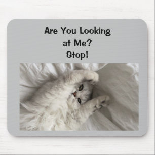 TAPIS DE SOURIS "BOSSY KITTY" SOURIS