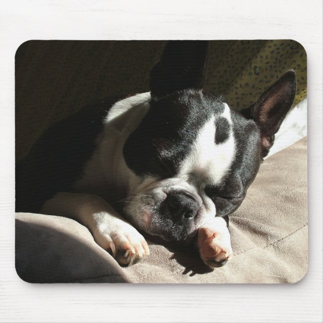 Tapis De Souris Boston somnolent (Devant)