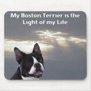 Tapis De Souris Boston Terrier :  Lumière de ma vie