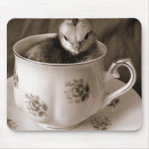 Bottes En Tasse De Thé