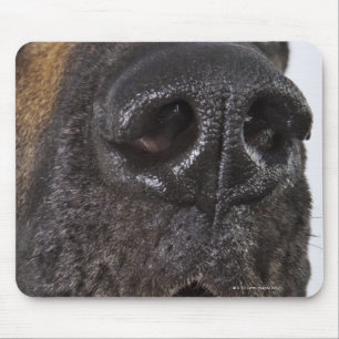 Tapis De Souris Bouche de great dane, plan rapproché