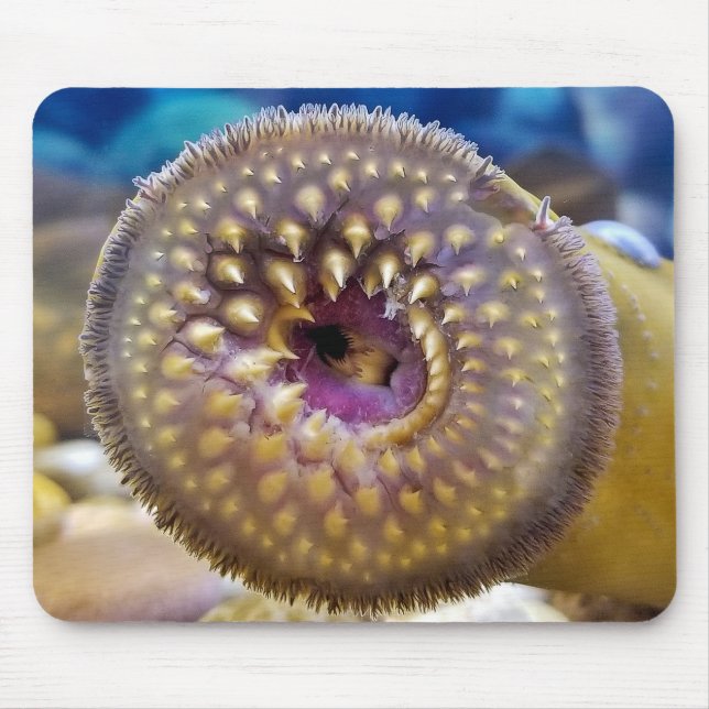 Tapis De Souris Bouche de lamproie marine (Devant)