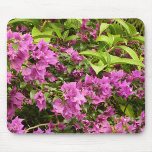 Tapis De Souris Bougainvillées tropicales violettes