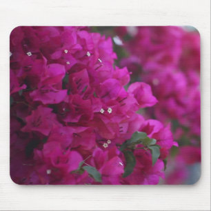 Tapis De Souris bougainvillier