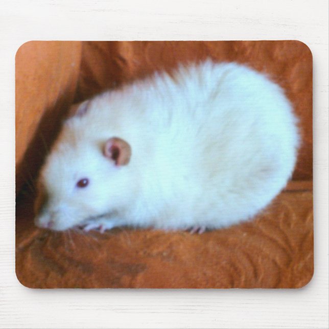 Tapis De Souris Boule de neige Rat Blanc Mousepad (Devant)