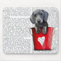 Bouquets d'amour Chiot de Dachshund