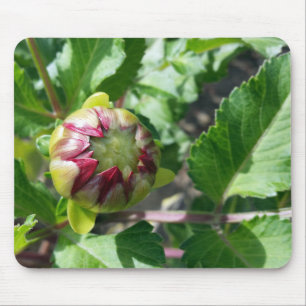 Tapis De Souris bourgeon d'automne