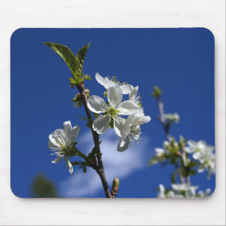 Tapis De Souris Bourgeons de ressort