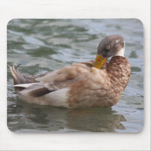 Tapis De Souris Bousepée de canard
