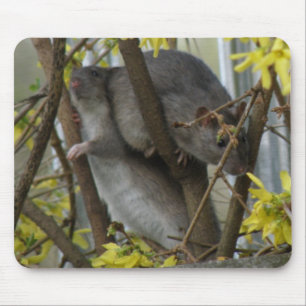 Tapis De Souris Bouteilles rousses Mousepad