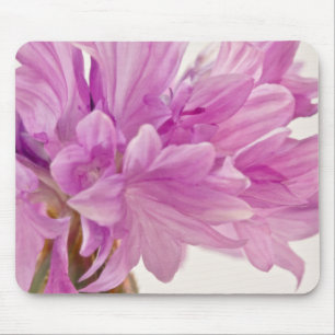 Tapis De Souris Bouton de mise à jour