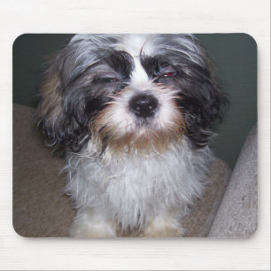 Tapis De Souris Bowie le chiot brouillé Mousepad de Shih Tzu