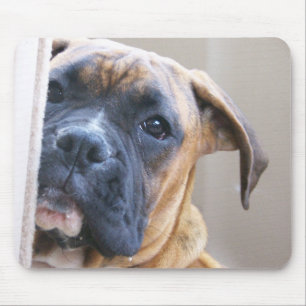 Tapis De Souris Boxeur