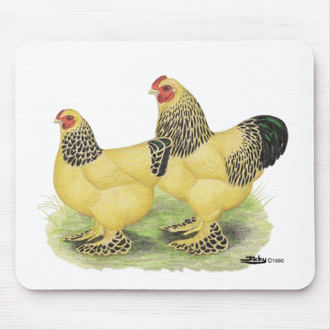 Tapis De Souris Brahmas : Buff Bantams (Devant)