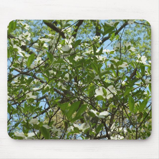 Tapis De Souris Branche of Dogwood Blossoms Spring Trees (Devant)