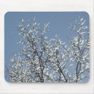 Tapis De Souris Branches Icy dans le ciel bleu d'hiver